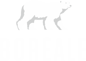 Boreal